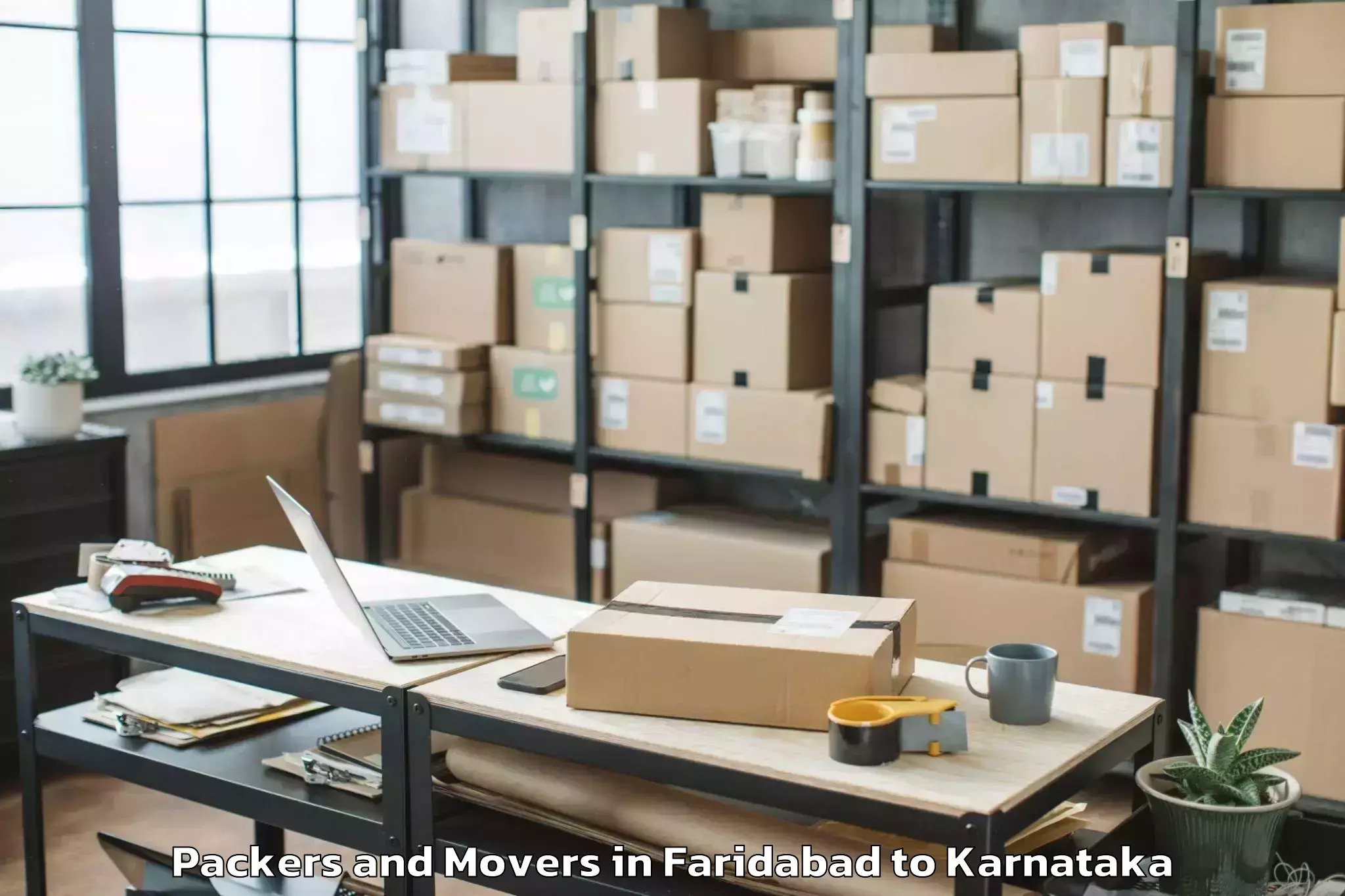 Professional Faridabad to Guledagudda Packers And Movers